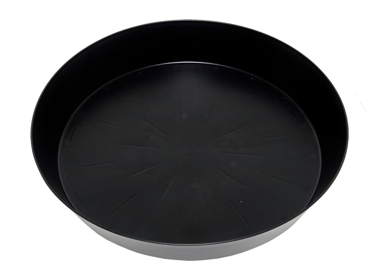 Super-Sized Black Saucer #25, pack of 5 — product photo