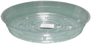Clear 8" Saucer, pack of 25 — product photo