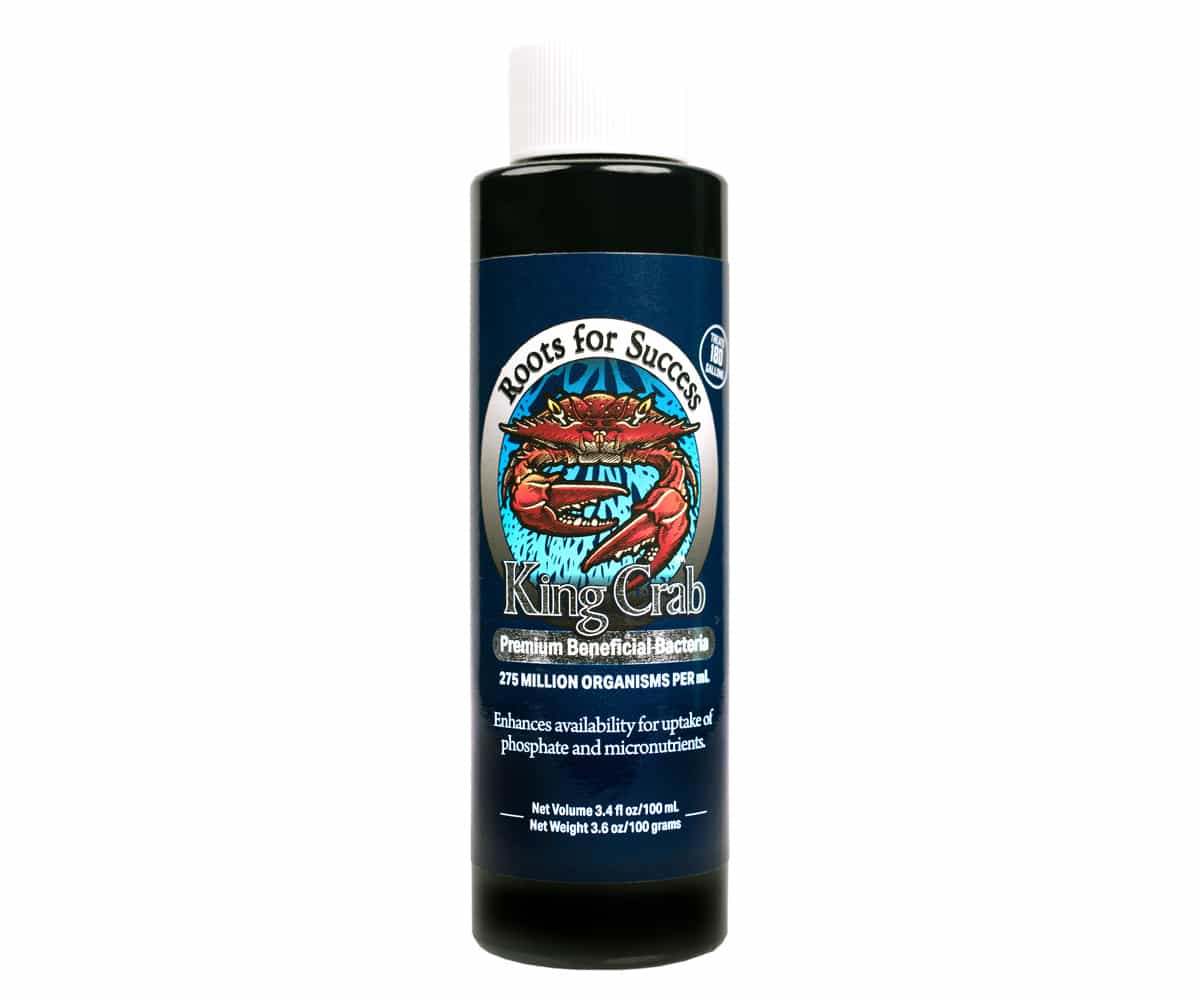 King Crab - 4 oz *