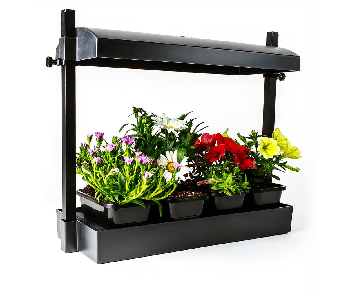 SunBlaster Micro T5 Grow Light Garden, Black — product photo