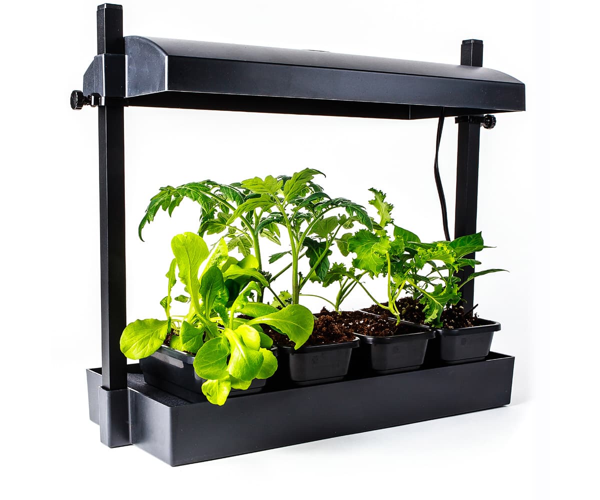 SunBlaster LED Growlight Garden, Black — product photo