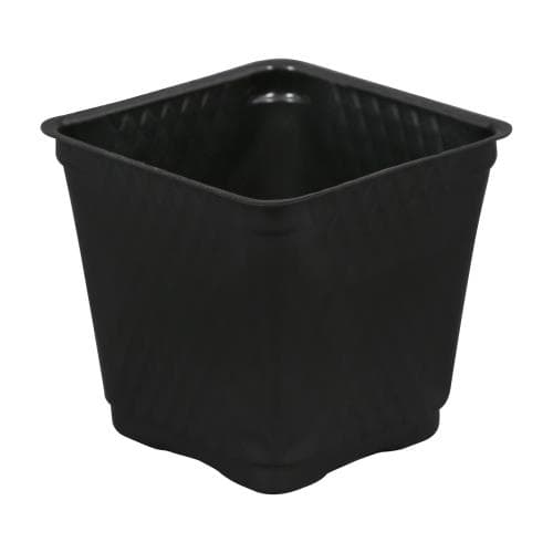 Gro Pro Square Plastic Pot Black 3.5 in (1375/Cs) — photo 1 of 4