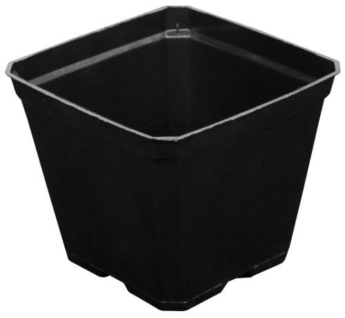 Gro Pro Black Plastic Pot 3.5 in x 3.5 in x 3 in (800/Cs) — photo 1 of 4