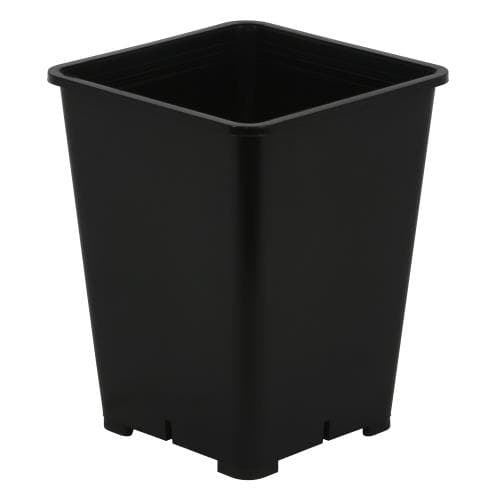 Gro Pro Premium Black Square Pot 6 in x 6 in x 8 in (100/Cs) — photo 1 of 4