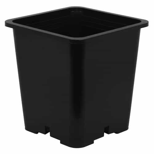 Gro Pro Premium Black Square Pot 9 in x 9 in x 10.5 in (100/Cs)