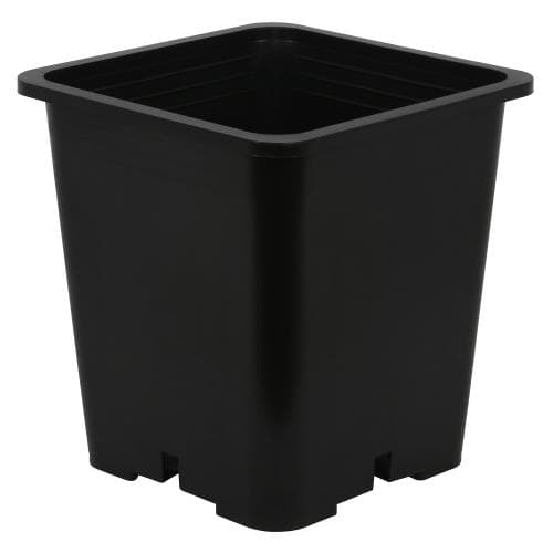 Gro Pro Premium Black Square Pot 9 in x 9 in x 10.5 in (100/Cs) — photo 1 of 4