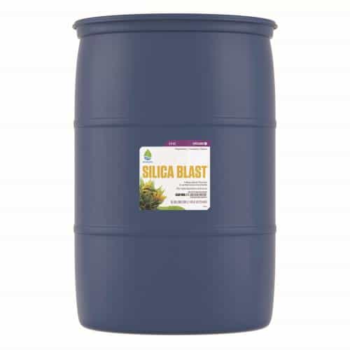 SILICA BLAST 55GAL/1