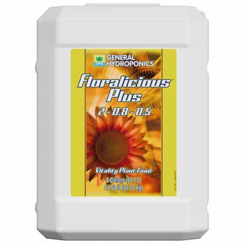 FLORALICIOUS PLUS 6 GALLON