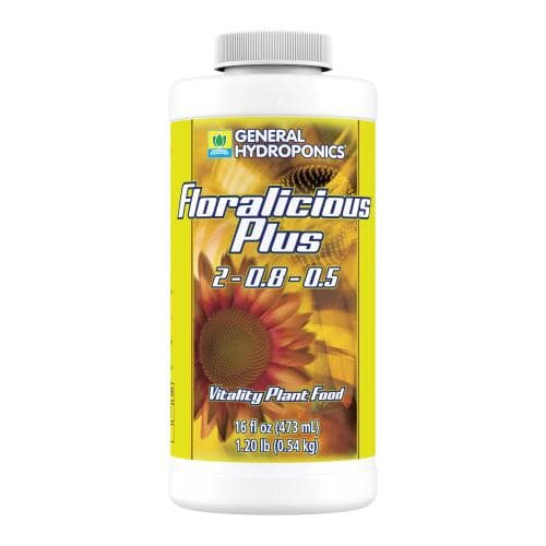 GH Floralicious Plus Pint (12/Cs) — photo 1 of 4