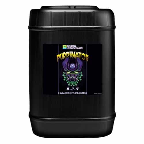 Purpinator 6 Gallon