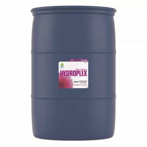 HYDROPLEX BLOOM 55GAL/1