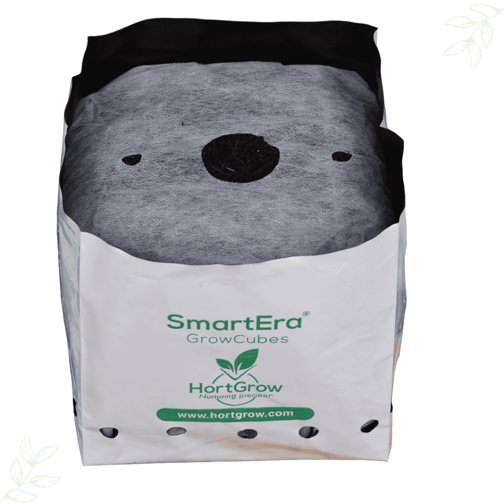 HortGrow SmartEra® Grow Cube 6x6x6" mesh/plastic cube