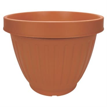 ITML CBU1550 15.50 CENTABELA PLNTR CLAY 12/CS 36/P — photo 1 of 2