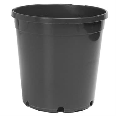 Landmark Trade 2 Gallon 6 Quart 600 Nursery Pot Black 65 Per Case 29 Cases Per Pallet, 2Gallon — photo 1 of 2