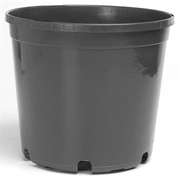 Landmark Trade 3 Gallon Nursery Pot Black 59 Per Case 16 Cases Per Pallet, 3Gallon — photo 1 of 2