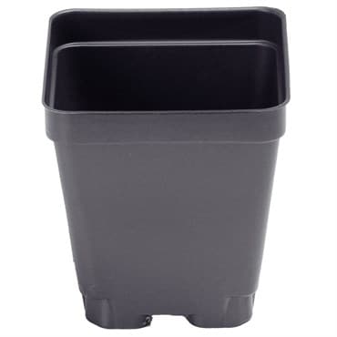Landmark 03.25 Inch Square T Pot Economy Black 900 Per Case / 36 Cases Per Pallet — photo 1 of 2