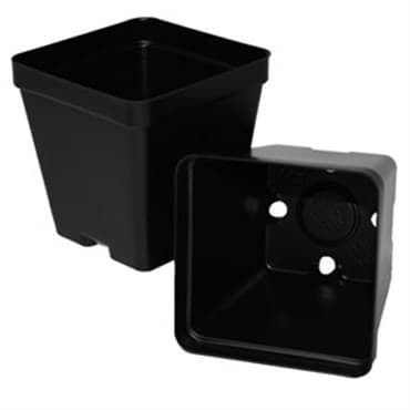 T. O. Plastics 03.50 Press Fit Pot Square Vacuum Deep 350 Black 450 Per Case 48 Cases Per Pallet 700026C Use With 705130C Tray — photo 1 of 2