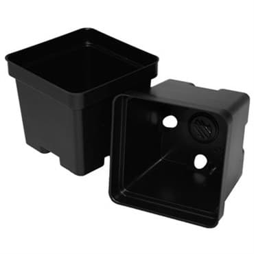 T. O. Plastics 04.50 Sq Pot Square Vacuum Traditional4X5 Black 500 Per Case 24Cs/Pl 700081C — photo 1 of 2