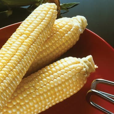 Corn, Sugar Buns Sweet 1lb — photo 1 of 2