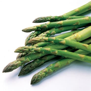 Asparagus, Jersey Knight 25 BD — photo 1 of 2