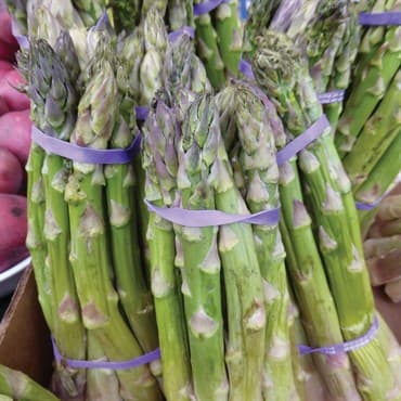 Asparagus, Mary Washington 1/2oz — photo 1 of 2