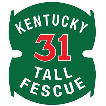 Tall Fescue, Kentucky 31 98/85 50# — photo 1 of 2
