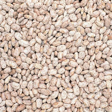 Beans, Pinto 50lb — photo 1 of 2