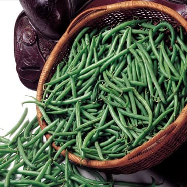 Beans, Bronco Bush 80M — photo 1 of 2