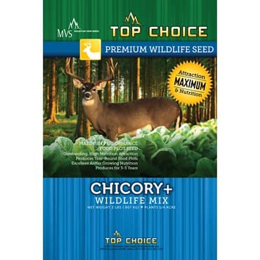 Top Choice Chicory Plus 4# Each — photo 1 of 2