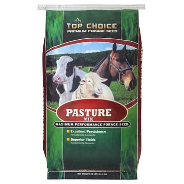 Permanent Pasture Mix 25# Each — photo 1 of 2