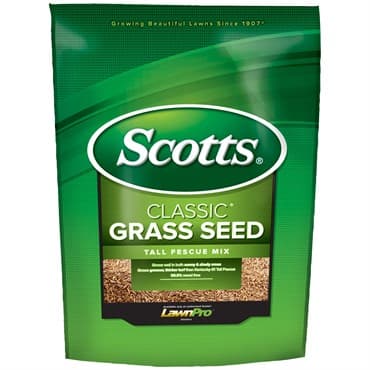 Scotts 3# Classic Tall Fescue — photo 1 of 2