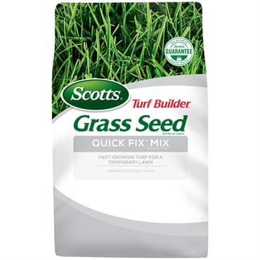Scotts 3# Turf Builder Quick Fix Mix — photo 1 of 2