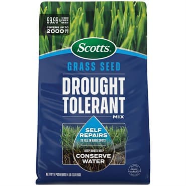 Scotts 4# Drought Tolerant Grass Seed Mix — photo 1 of 2