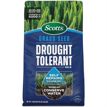 Scotts 10# Drought Tolerant Grass Seed Mix — photo 1 of 2