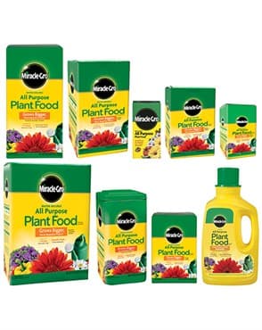 Miracle Gro 4# All Purpose — photo 1 of 2