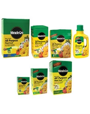 Miracle Gro 3# All Purpose — photo 1 of 2