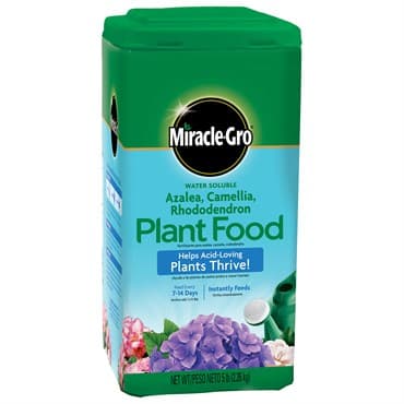 Miracle Gro 5# Azalea, Camelia, Rhododendron — photo 1 of 2