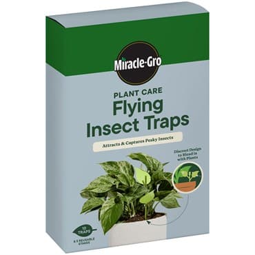 Miracle-Gro Plant Care Flying Insect Trap — photo 1 of 2