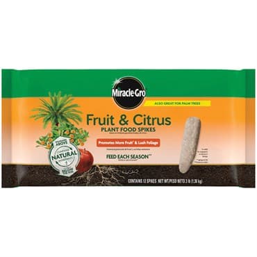 Miracle Gro 12pk Fruit & Citrus Spikes — photo 1 of 2