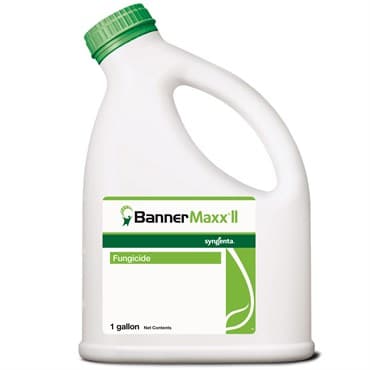 Syngenta Banner Maxx II 1Gl (2/Cs) AGENCY ( propiconazole ) — photo 1 of 2