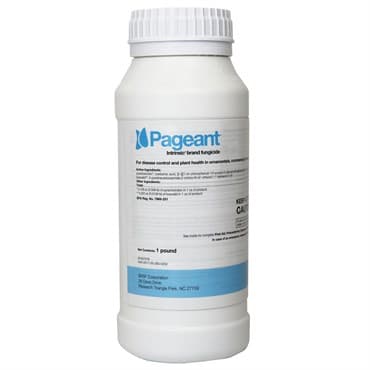 BASF Pageant Intrinsic 1Lb (4/Cs) AGENCY ( Boscalid + Pyraclostrobin ) — photo 1 of 2