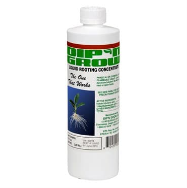 Dip-n-Grow 1Pt (12/Cs) ORM-D — photo 1 of 2