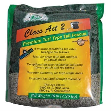 Class Act 2 Turf Fescue 16# Each — photo 1 of 2