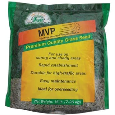 MVP Perennial Ryegrass 16# Each — photo 1 of 2