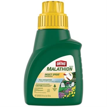 Ortho Max 16oz Malathion Insect Spray Concentrate — photo 1 of 2