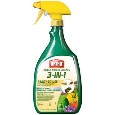 Ortho 24oz RTU Insect Mite & Disease — photo 1 of 2
