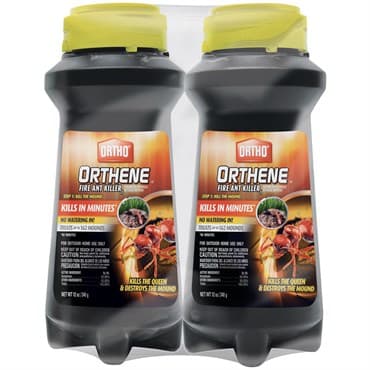 Ortho 16oz Orthene Ant & Roach Killer — photo 1 of 2