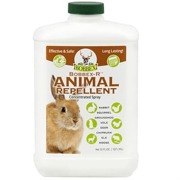 Bobbex-R 32oz Animal Repellent Concentrate — photo 1 of 2