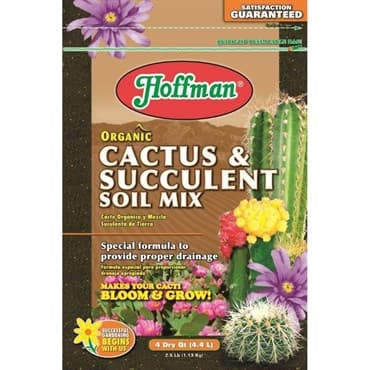 Hoffman 4qt Cactus & Succulent Soil Mix — photo 1 of 2