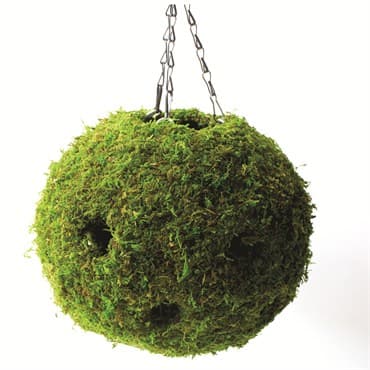 SuperMoss 12" Woven Moss Ball Planter — photo 1 of 2